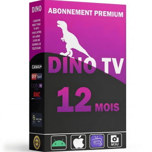 Dino service pour 12 mois